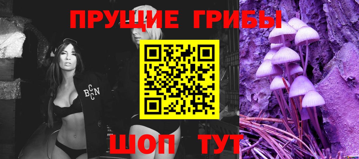 Балашиха  Псилоцибиновые грибы Cubensis  Вход с VPN 